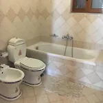 Apartman Aleks *